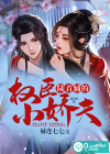 權(quán)臣陸首輔的小嬌夫