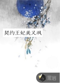 契约王妃美又飒