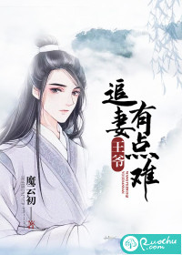 王爷追妻有点难