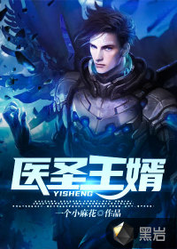 醫(yī)圣王婿
