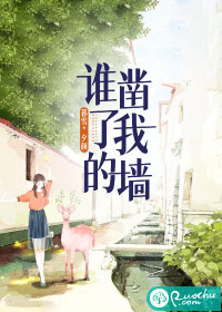 谁凿了我的墙