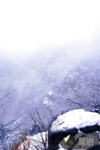 在冰封时代没有记忆的我