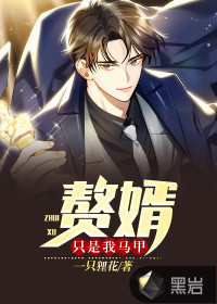 贅婿只是我馬甲
