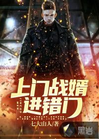 上門戰(zhàn)婿進錯門