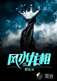 風(fēng)水龍相