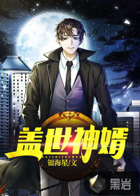 蓋世神婿