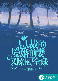 总裁的隐婚前妻又惊艳了全球