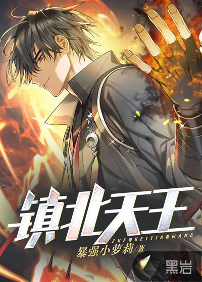 镇北天王