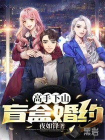 高手下山：盲盒婚約