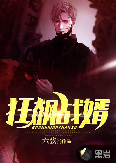 狂飙战婿