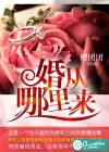 婚从哪里来