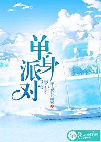单身派对