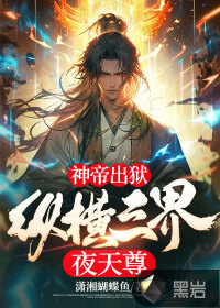 神帝出獄：縱橫三界夜天尊