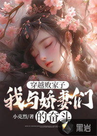 穿越敗家子，我和嬌妻們的奮斗