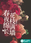 春夜绵长，花枝满墙