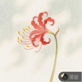 《曼殊沙華》