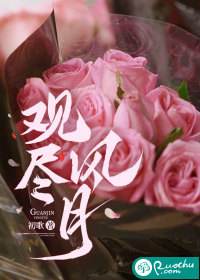 观尽风月