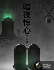 暗夜惊心