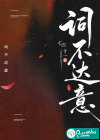 词不达意