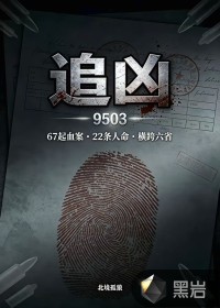 追凶9503