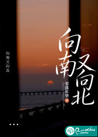 向南又向北