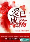 爱已成殇
