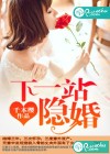 下一站隐婚