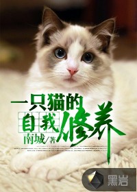 一只猫的自我修养