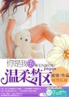 你是我的温柔禁区