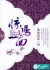 惊鸿一面