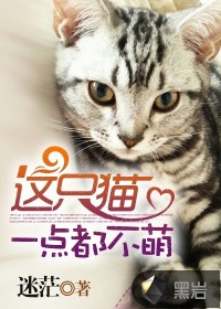 這只貓一點(diǎn)都不萌