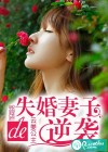 失婚妻子的逆袭