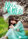 协议婚妻