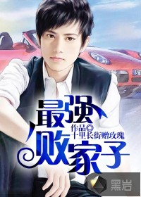 最強敗家子