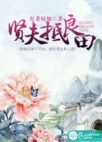 贤夫抵良田