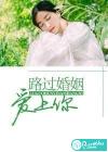 路过婚姻爱上你
