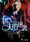 匹夫的逆襲