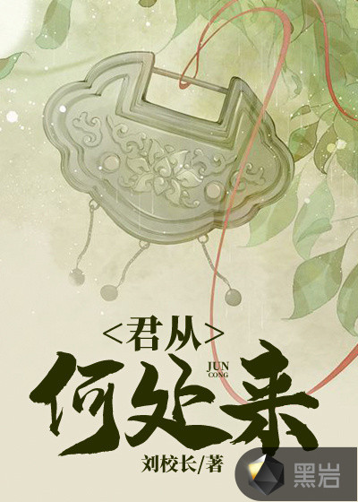 君从何处来