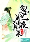 忽如一夜相思來