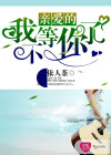 親愛的，這不是愛情