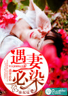遇妻必染
