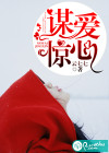 謀愛驚心