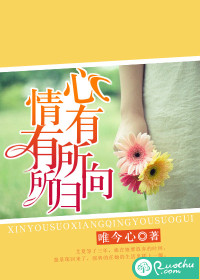 心有所向，情有所归