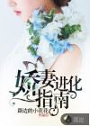 嬌妻進化指南