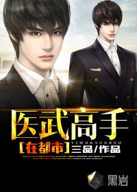 醫(yī)武高手在都市