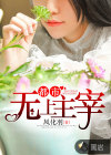 都市無(wú)上主宰