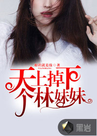 天上掉下個(gè)林妹妹