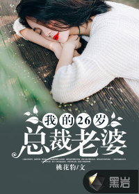 我的26歲總裁老婆