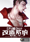 萬(wàn)能改造系統(tǒng)