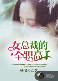 女總裁的全職高手